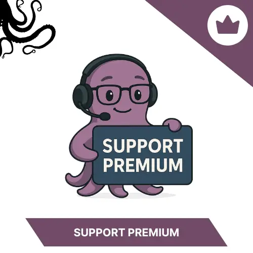 Support informatique Pro — 2 h par mois