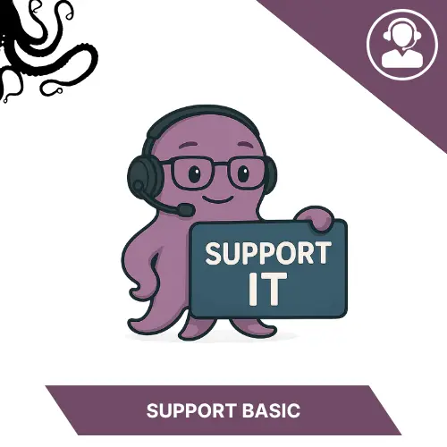 IT Support — 1 Hour per Month