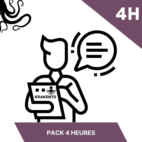Consultance Odoo — Packs de 4 à 30 h