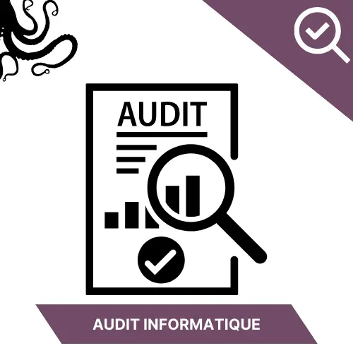 Pack Audit informatique